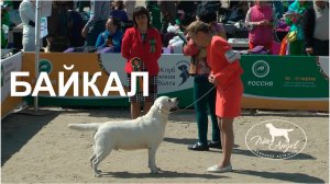 Irin Angel Light Breeze (Байкал)