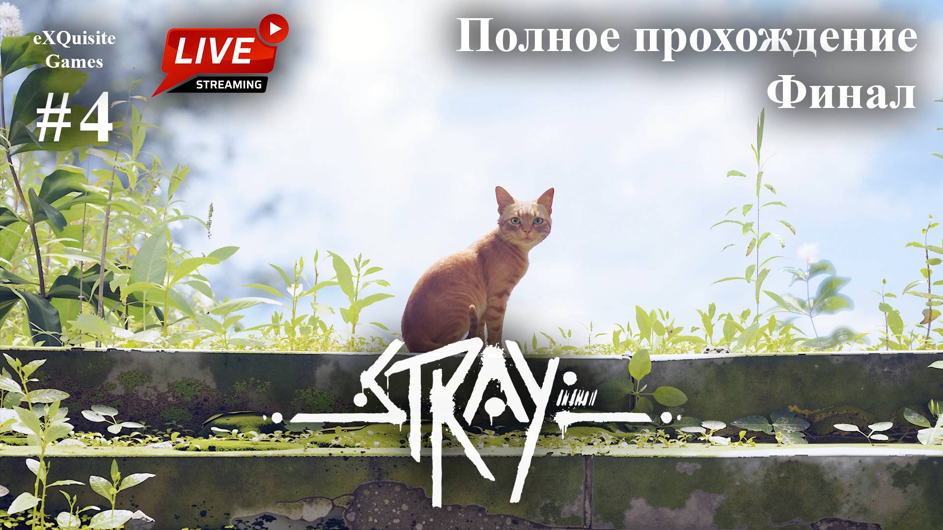 Stray #4 - Полное прохождение (Финал)