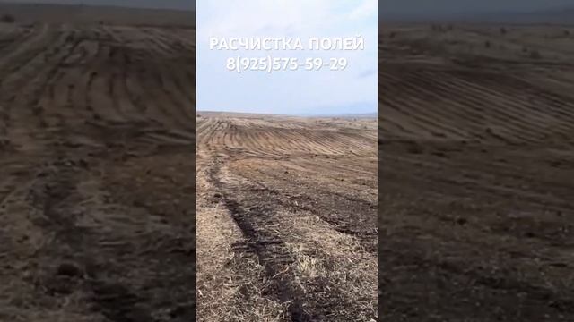 РЕЗУЛЬТАТ РАСЧИСТКИ ПОЛЯ ДЛЯ СЕЛЬСКОГО ХОЗЯЙСТВА ГУСЕНИЧНЫМ МУЛЬЧЕРОМ Fae Prime Tech.