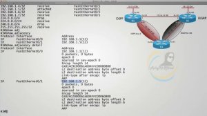 Checking the IP Routing Table