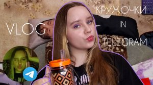 VLOG: Кружочки в Telegram|Дарья Городецкая🐾