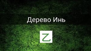СТИХИЯ ЛИЧНОСТИ:  ДЕРЕВО ИНЬ