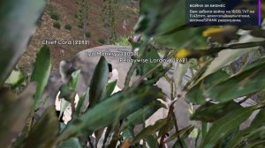 Grand Theft Auto V 2024.10.16 - 16.03.38.04