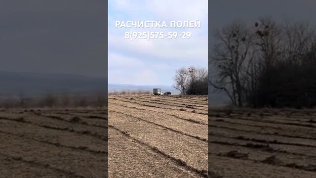 РЕЗУЛЬТАТ МУЛЬЧИРОВАНИЯ ПОЛЯ ДЛЯ СЕЛЬСКОГО ХОЗЯЙСТВА ГУСЕНИЧНЫМ МУЛЬЧЕРОМ Fae Prime Tech.