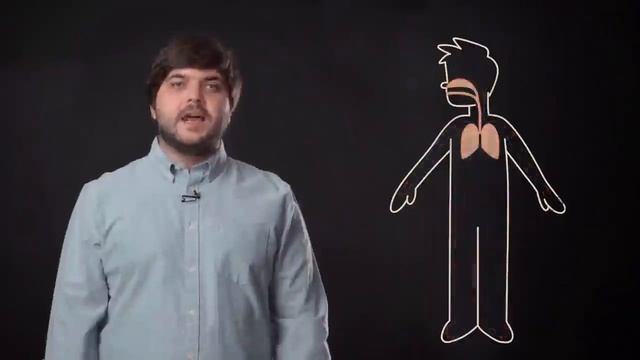 Видео фрагмент 1 1 смотреть онлайн