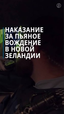 Наказание за вождение в состоянии алкогольного опьянения в Новой Зеландии