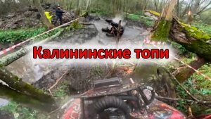 Тверское кольцо. Калининские топи