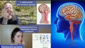 Как маленькая носовая мышца забирает жизнь у глаз и мозга? Оживляющие упражнения