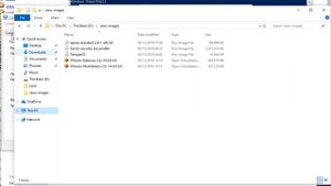 Installing and Setting up QEMU on Windows 10 (2018)