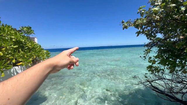 BYBIT ФЬЮЧЕРСЫ [с телефона] +820$ ЗА НЕДЕЛЮ. ОБЗОР СДЕЛОК смотреть онлайн