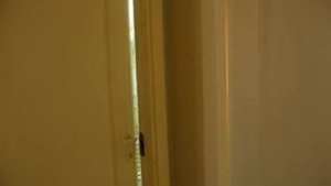 Гадкие звуки амазона