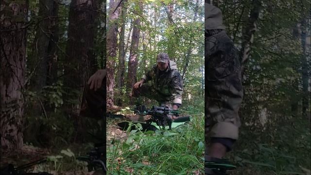 Стрельба из арбалета на 50м, отбор стрел по кучности.