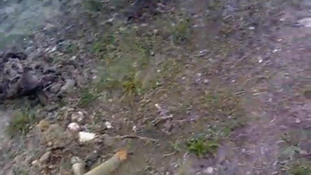 Луганск. Храм иконы Божией Матери "Взыскание погибших" смотреть онлайн