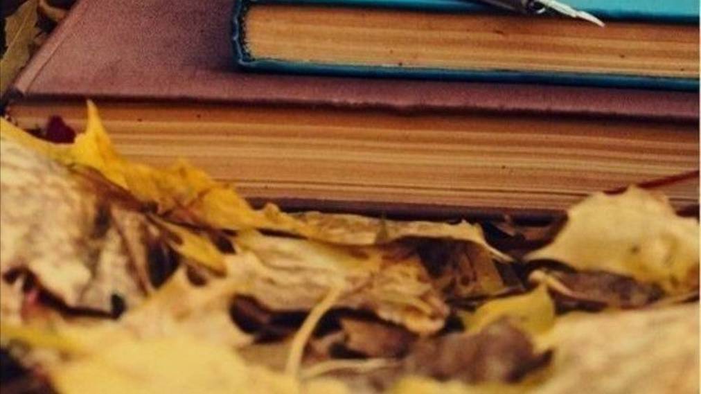 Добрый вечер - Пусть останется тепло от нашей встречи #добрыйвечер #музыкальнаяоткрытка