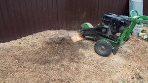 Удаление пней в Московской области