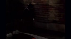 Подопытная свинка 2: Цветок из плоти и крови обзор