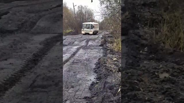 Вернем пазики на улицы города, на Бревеннике же едут #Бревенник