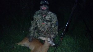 Косуля на гону 2018 г.  трофейный самец европейской косули.