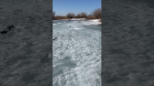 10 апреля 2023 г. смотреть онлайн