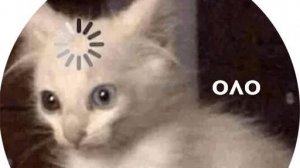 Игра Пэдро Пэдро. Открыл Амон гас