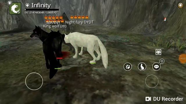 WOLF ONLINE (FUNNY MOMENTS)