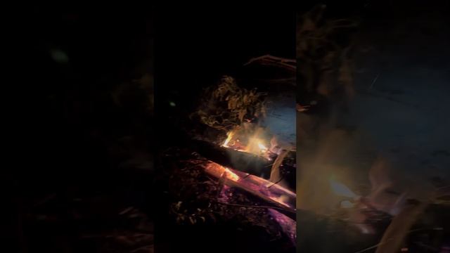 26 сентября 2024 г. смотреть онлайн