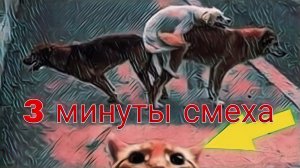 Приколы на завтрак: Утренние фейлы #103