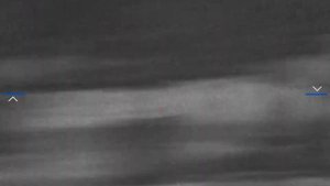 Охота на кабана с вышки. Кабан 180 кг и енот. Pulsar Digex n455