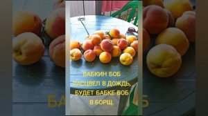 Современные Скороговорки ДЛЯ ВЗРОСЛЫХ!!! Улучшаем дикцию, четкость и скорость речи!
