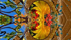 ФотоШоу PRO!!! Проекты ФотоШоу PRO! Проект 127 Осенние Цветочные веера 12!!!