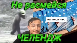 Попробуй, не расмеяться челендж \Юмор\Животные\Смешные моменты.