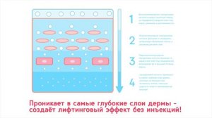 Сыворотки «Система гиалуроновых кислот 2200 кДа – 0,8 кДа» - с пептидом Juveleven и витаминами