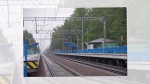 Авилов Алексей - Комарово