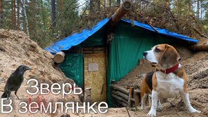 ЗВЕРЬ ПРИВЁЛ НАС В ЗЕМЛЯНКУ