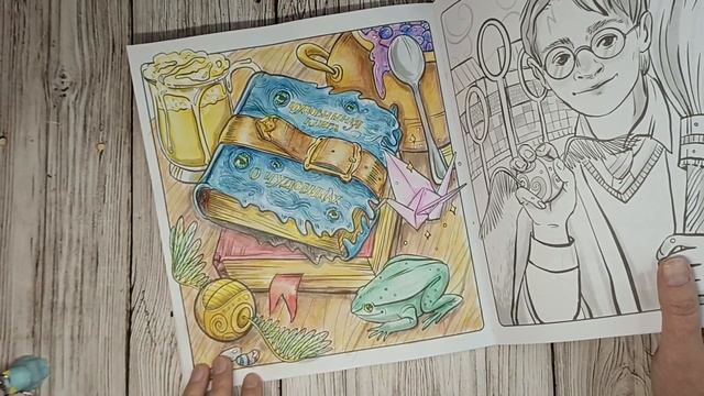 Раскрашено за январь 2024 смотреть онлайн