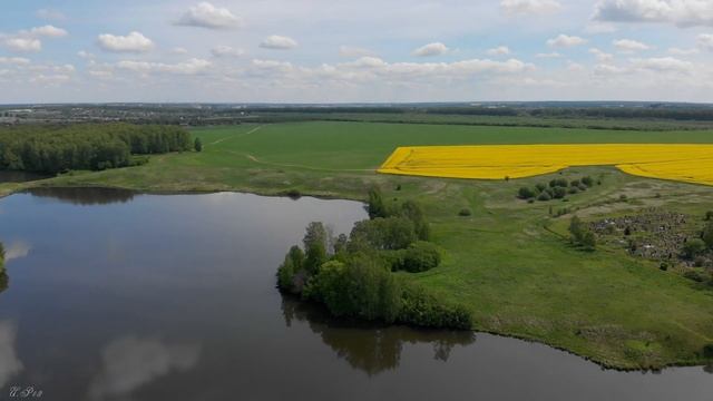 Рапсовые поля / Подмосковье смотреть онлайн