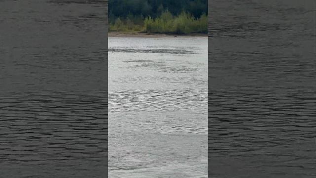 3 сентября 2024 г. смотреть онлайн