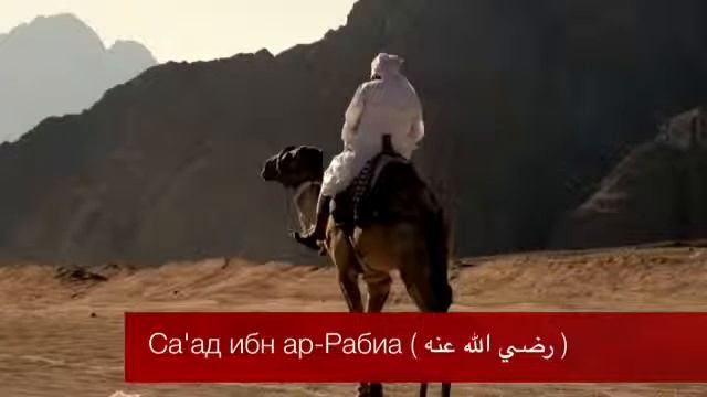 Сподвижник Са'ад ибн ар Рабиа (р.а)