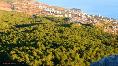 КУРОРТ МИСХОР (ГАСПРА КОРЕИЗ) вид с горы Лысой на море, побережье и Ай-ПетриКРЫМ МИСХОРСКАЯ ГАВАНЬ