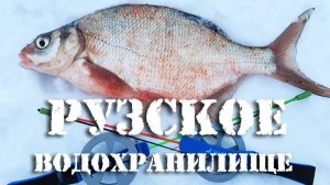 Народная рыбалка. Рузское водохранилище.