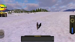 Wolf Quest Multiplayer - Playing With Subscribers - Gameplay Episode 63