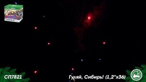 СП7821