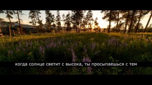 marshmello x lil peep - spotlight [rus sub/перевод]