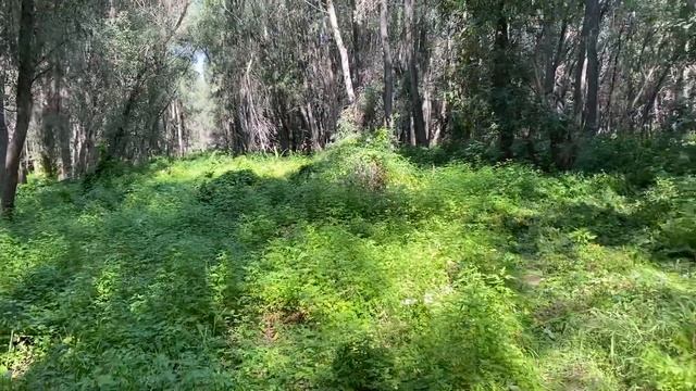 23 марта 2023 г. смотреть онлайн