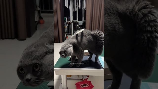 1001140500.mp4