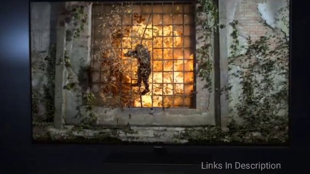 Top 5 Best 55 Inch TVs of 2020 смотреть онлайн