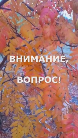 Проверь себя! Тест на внимательность