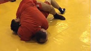 ч1-1  Переход на #удержание #Лоповок борьба в партере #САМБО болевые #приемы
