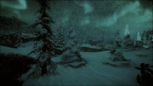 Зимний лес, где вьюги и снежные бури властвуют под шум зимних ветров | Звуки для сна и отдыха
