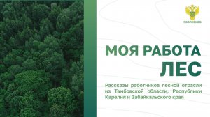 Рассказы работников лесной отрасли из Тамбовской области, Республики Карелия и Забайкальского края